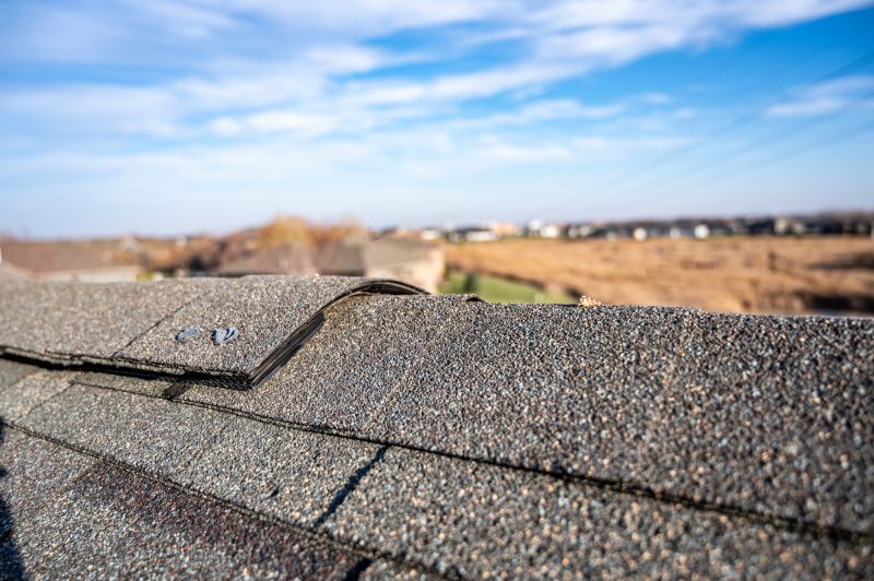 What To Expect During A Professional Asphalt Shingle Roof Repair